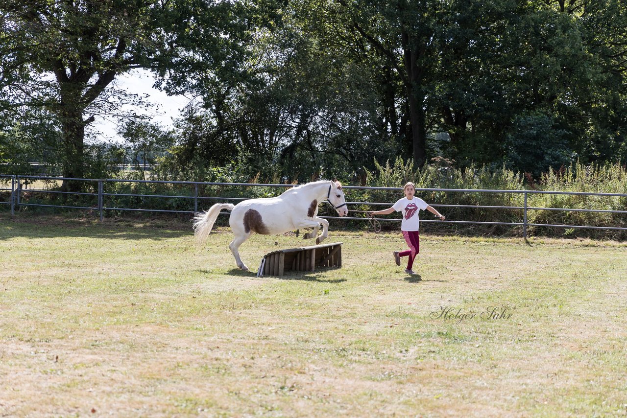 Bild 52 - Pony Akademie Turnier